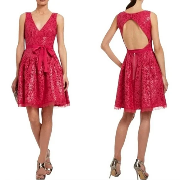BCBGMaxAzria Dresses Bcbgmaxazria Katarina Sequined Lace Vneck